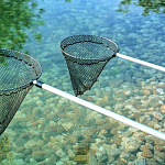 Сачок для рыб большой Fish net large OASE